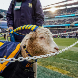 Army-Navy Game 2018 credit Kyle Huff-02719